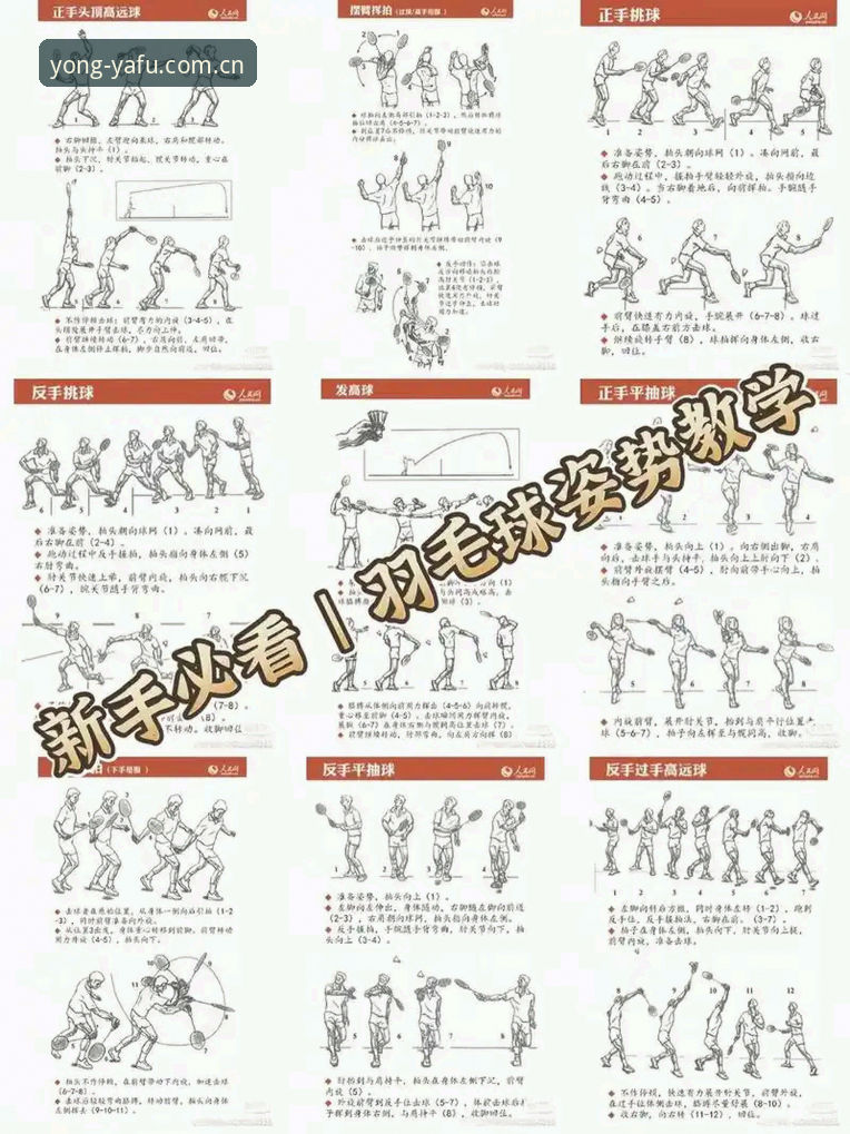 亚富体育平台新手操作教程：从官网入口到赛事分析的完整指南
